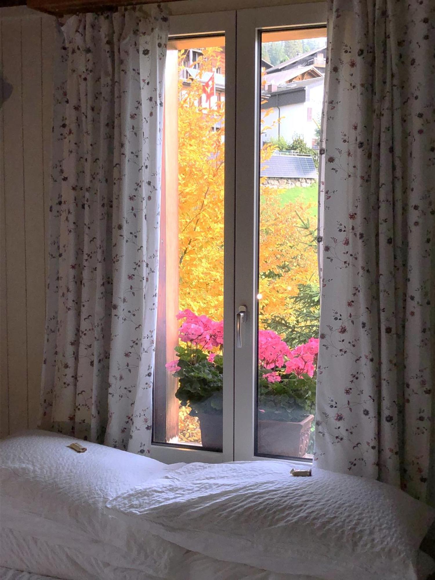 Ula'S Holiday Apartments Беатенберг Номер фото